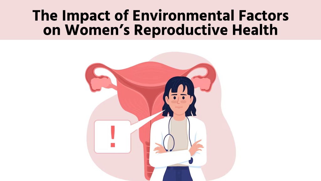 The Impact of Environmental Factors on Women’s Reproductive Health